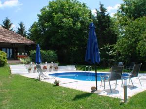 a pool with two blue umbrellas and two chairs and a pool at Apartments M in Soko Banja