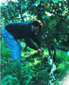 Hosté ubytování Agriturismo Podere dei kiwi