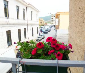 Foto dalla galleria di Casa Margherita piano primo a Mondragone