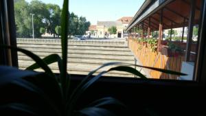 Foto dalla galleria di Posejdon Resort a Sremska Mitrovica