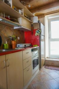 uma pequena cozinha com um fogão e um frigorífico em Dolichi Studio em Samos