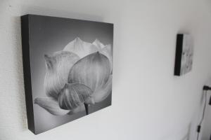 Fotografie z fotogalerie ubytování Villa Sol v destinaci Zadar