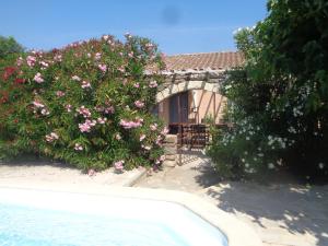 une maison avec un bush fleuri à côté d'une piscine dans l'établissement Villa des Oléandres, à Floure