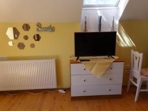 a bedroom with a tv on top of a dresser at Muskátlis apartman in Budakeszi