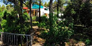 A garden outside B&B Al Cavalluccio Marino