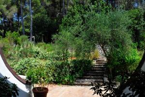 A garden outside B&B Al Cavalluccio Marino