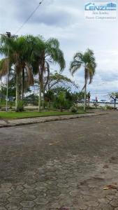 une rue bordée de palmiers dans l'établissement Casa em Caraguatatuba, à Caraguatatuba