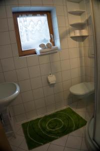baño con lavabo, aseo y alfombra verde en Britzerhof en Mayrhofen