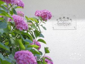 a flower arrangement in front of a window at Residenza Ambrogi Luxury Suites in Urbino