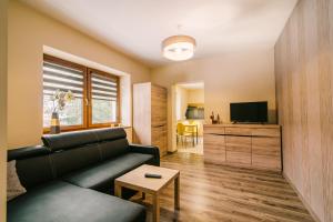 Televízia a/alebo spoločenská miestnosť v ubytovaní Apartamenty Pod Niedźwiedziem I
