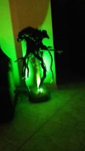 Imagen de la galería de Elatos, en Loutra Ipatis