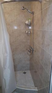 a bathroom with a shower with a glass door at Apartment Chavchavadze 5 in Sighnaghi +32 photos