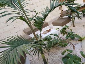 Vonkajšia záhrada v ubytovaní Resort Il Mulino