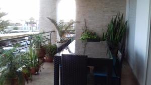 a room with potted plants and a table and chairs at Perle de Tamaris in Dar Bouazza