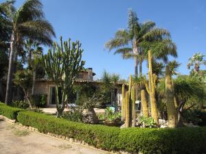 A garden outside Villa Federica