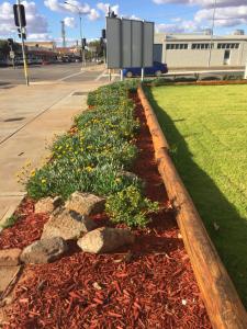 a flower bed on the side of a street at The Argent Motel in Broken Hill