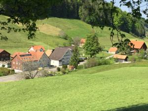 eine kleine Stadt auf einem Hügel mit grünem Gras in der Unterkunft Landgasthaus Bären in Grub