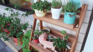 Giardino di Princess Chloe B&B