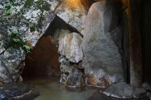 Φυσικό τοπίο κοντά σε αυτό το ryokan