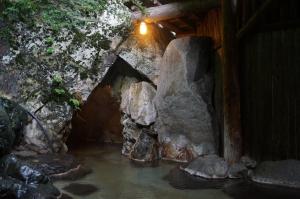 Φυσικό τοπίο κοντά σε αυτό το ryokan