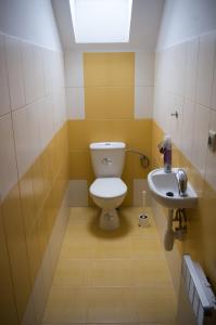 a bathroom with a toilet and a sink at Ubytovani U Ruzenky in Velké Bílovice