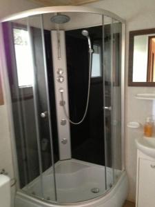 a shower with a glass door in a bathroom at Agroturystyka nad Biebrza Sośniaki in Goniadz