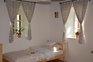 1 dormitorio con 1 cama y 2 ventanas en Cicahegy Vendégház, en Tápióság