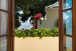 Zahrada ubytování Koukounari luxury villa