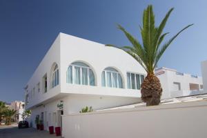 a white building with a palm tree in front of it at Hotel Senderos in Agua Amarga