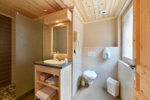 a bathroom with a toilet and a sink at Loc'Hotel Alpen Sports in Les Gets