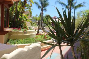 a garden with palm trees and flowers in a building at Hotel La Filadelfia in Lipari