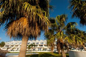 un hotel con palmeras delante en Livingtarifa Apartamento La Isla, en Tarifa