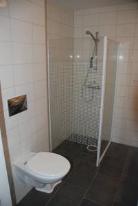 a bathroom with a shower with a toilet and a shower at Apartment - Lille Galleri - Fyresdal in Fyresdal +24 photos