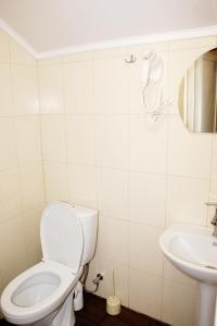 a bathroom with a toilet and a sink at Marinus in Gribovka +6 photos