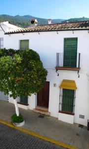 a white building with green windows and a tree at Casa Rural Casa Ronda in El Bosque