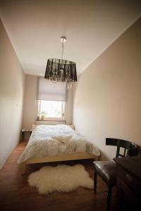 1 dormitorio con cama y lámpara de araña en Przyjazne mieszkanie na Starym Miescie, en Gniezno