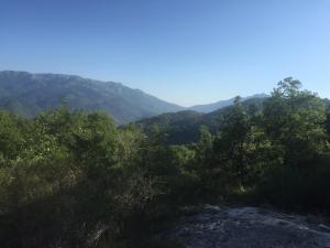 Imagen de la galería de Hotel du Tourisme, en Zicavo