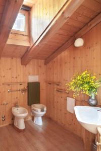 uma casa de banho com um WC e um lavatório em Albergo Diffuso Sauris in Sauris Di Sopra em Sauris