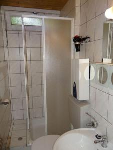 een badkamer met een toilet en een douche bij Ferienhaus Thom in Neubäu am See in Neubäu