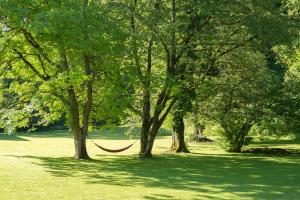 a hammock between two trees in a park at Hotel Schloss Ragaz in Bad Ragaz