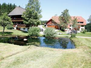 ein Haus mit einem Teich vor einem Haus in der Unterkunft Ferienwohnungen Duffner in Schonach