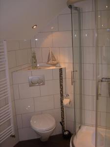 a bathroom with a toilet and a glass shower at Haus Königsstieg in Struckum