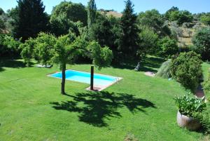 een zwembad in een veld met een boom bij La Escribana in Constantina