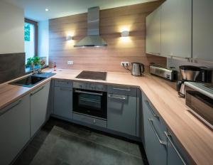 a kitchen with a stove and a sink at Villa am Grossen Garten in Dresden