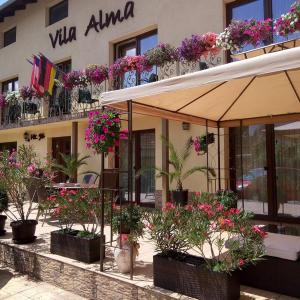 a building with a bunch of potted plants and flowers at Vila Alma in Baile Felix