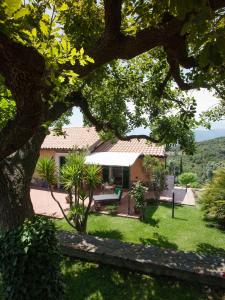 een huis met een bank in een tuin bij Il Mirto B&B in Imperia