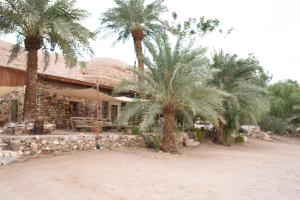 a house with palm trees in front of it at Williams House in Eilat