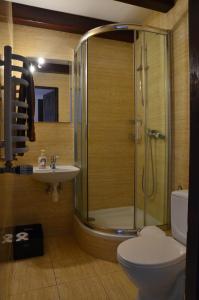 een badkamer met een douche, een toilet en een wastafel bij Leśny Zakątek in Smardzewice