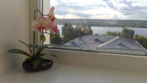 ペルミにあるStudio Apartment with view on Kamaの窓襖に座る花瓶
