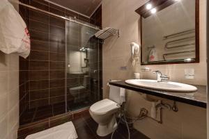a bathroom with a toilet and a sink and a shower at Aleksandria Hotel in Kyiv